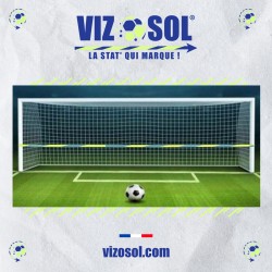 VIZOSOL